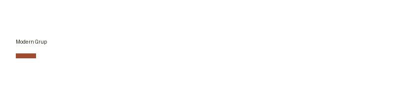 Modern Grup logo